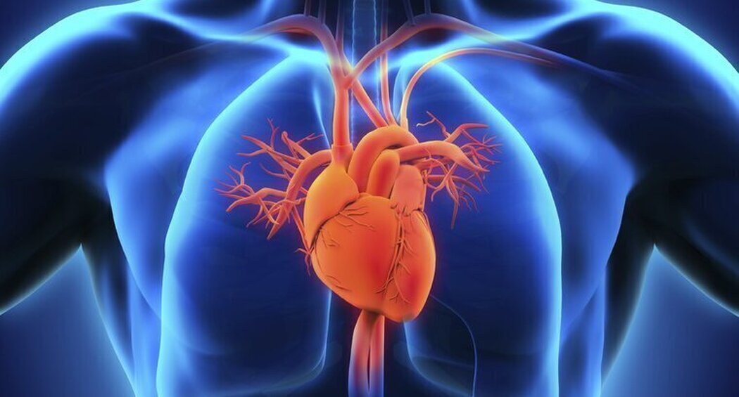 Nieuw computermodel identificeert cardiovasculair risico beter dan oude CVRM-modellen