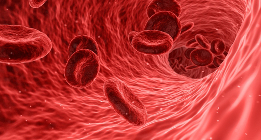 cardio-algemeen5-bloed-pixabay-770-550-2.png
