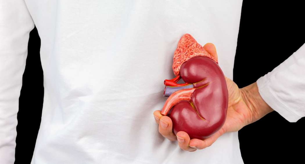 Nieuwe KDIGO-richtlijn: voorkom nierschade bij diabetes al vóór CKD ontstaat