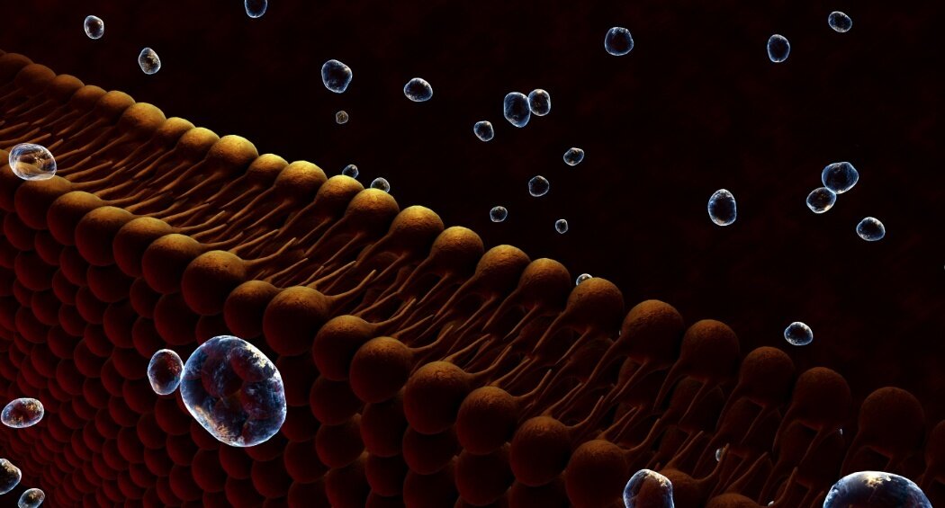 Veel patiënten blijven boven LDL-C streefwaarde bij secundaire preventie in eerste lijn
