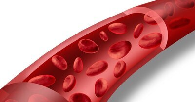 Ervaringen met lipoproteïne-aferese in een expertisecentrum