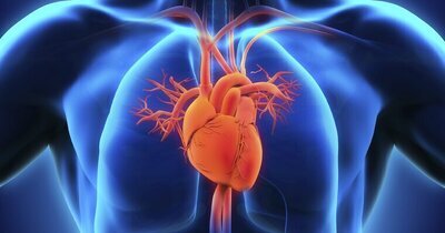Lagere zoutinname voorkomt cardiovasculaire events