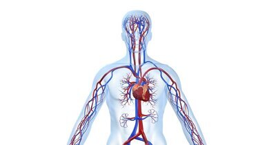 Strategieën om starten van cholesterolverlagende medicatie te bevorderen 
