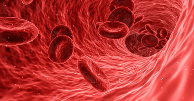 Herstart orale antistolling na intracerebrale bloeding bij atriumfibrilleren blijft afweging winst en risico