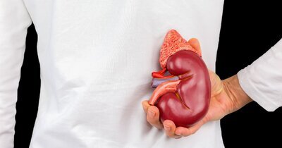 SGLT2-remmer aanbevolen voor de behandeling van volwassenen met chronische nierziekte in de EU