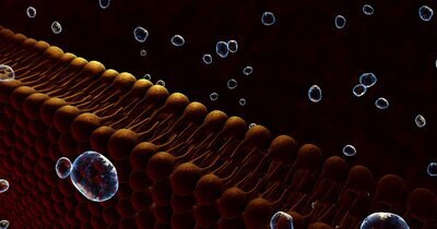 Apotheker-geleide lipidenklinieken binnen cardiale revalidatie bieden kans op betere CV-preventie